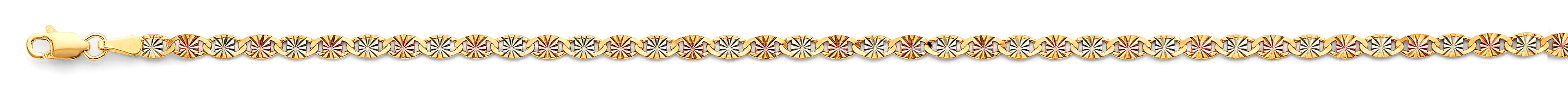 14K Yellow Gold Assorted Valentinos & Mariners 3.1mm Chain - CH-0670