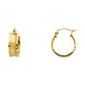 14K Yellow Gold Basic & Fancy Hoop Earring - ER13