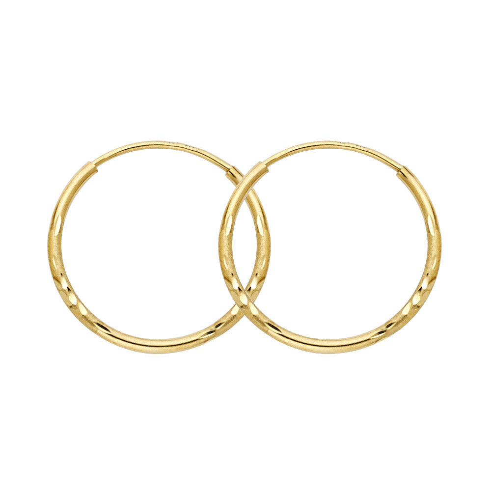 14K Yellow Gold Basic & Fancy Hoop Earring - ER31