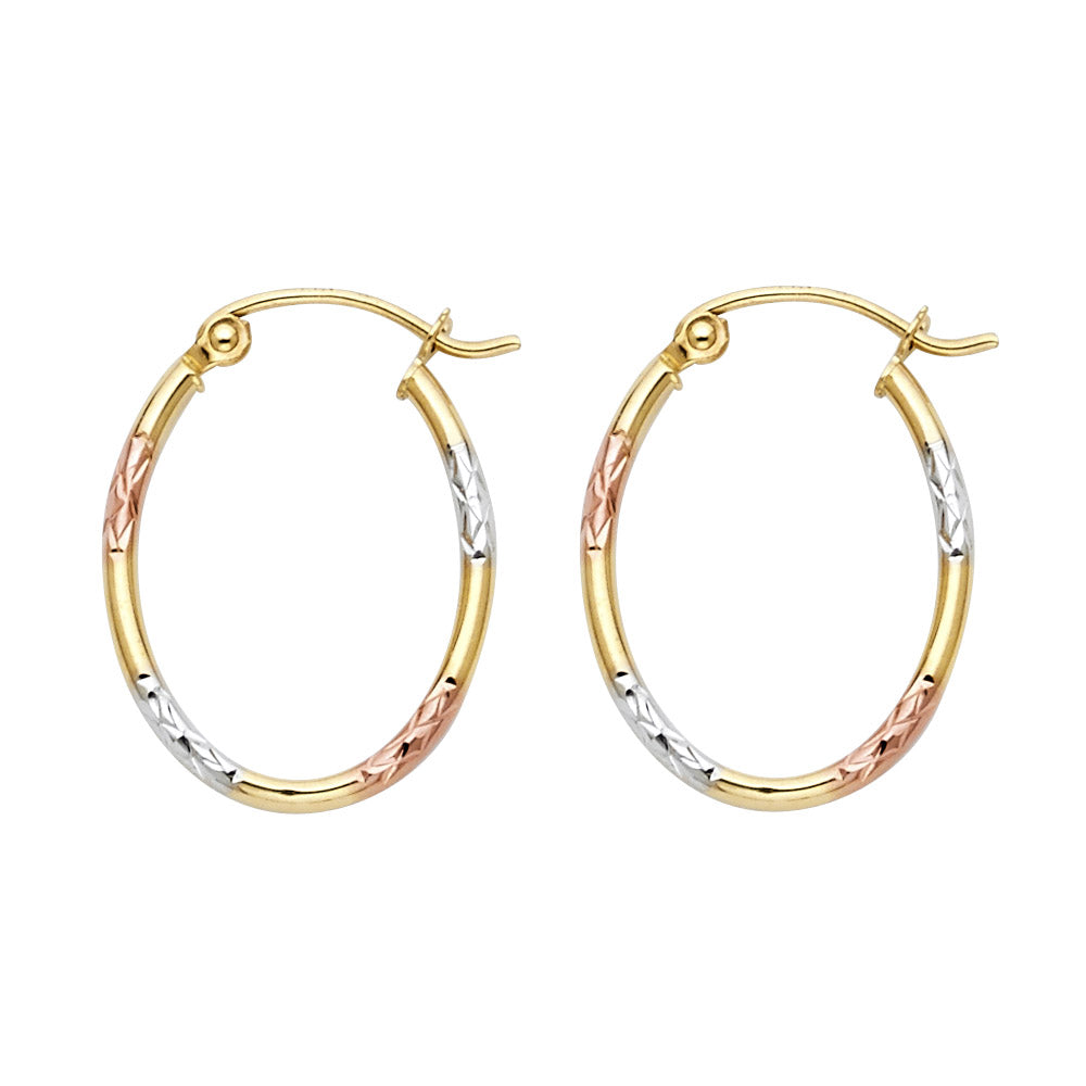 14K Yellow Gold Basic & Fancy Hoop Earring - ER36