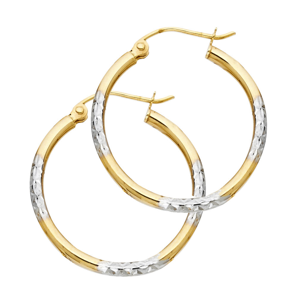 14K Yellow Gold Basic & Fancy Hoop Earring - ER37