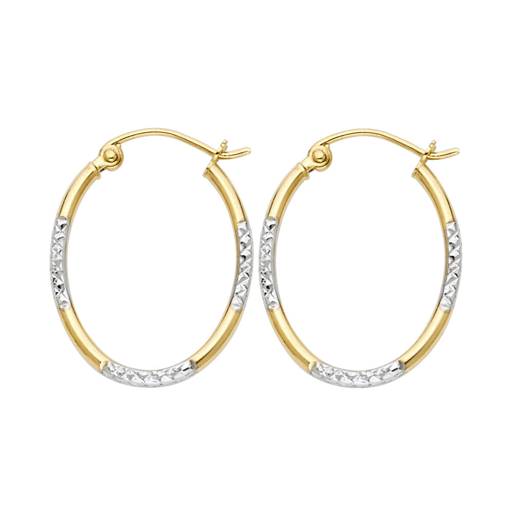 14K Yellow Gold Basic & Fancy Hoop Earring - ER38