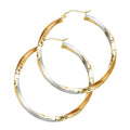 14K Yellow Gold Basic & Fancy Hoop Earring - ER60