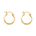 14K Yellow Gold Basic & Fancy Hoop Earring - ER74
