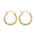 14K Yellow Gold Basic & Fancy Hoop Earring - ER167
