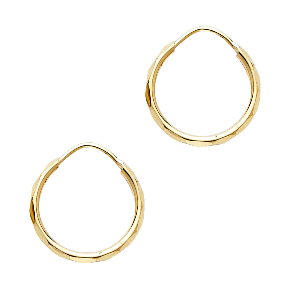 14K Yellow Gold Basic & Fancy Hoop Earring - ER184