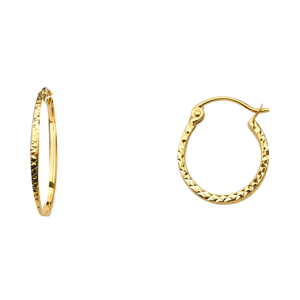 14K Yellow Gold Basic & Fancy Hoop Earring - ER559