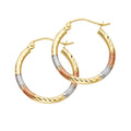 14K Yellow Gold Basic & Fancy Hoop Earring - ER567