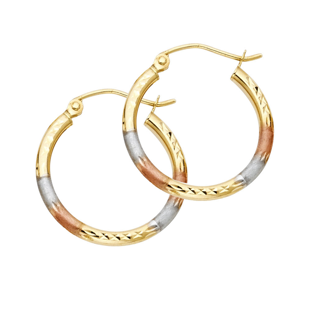 14K Yellow Gold Basic & Fancy Hoop Earring - ER567