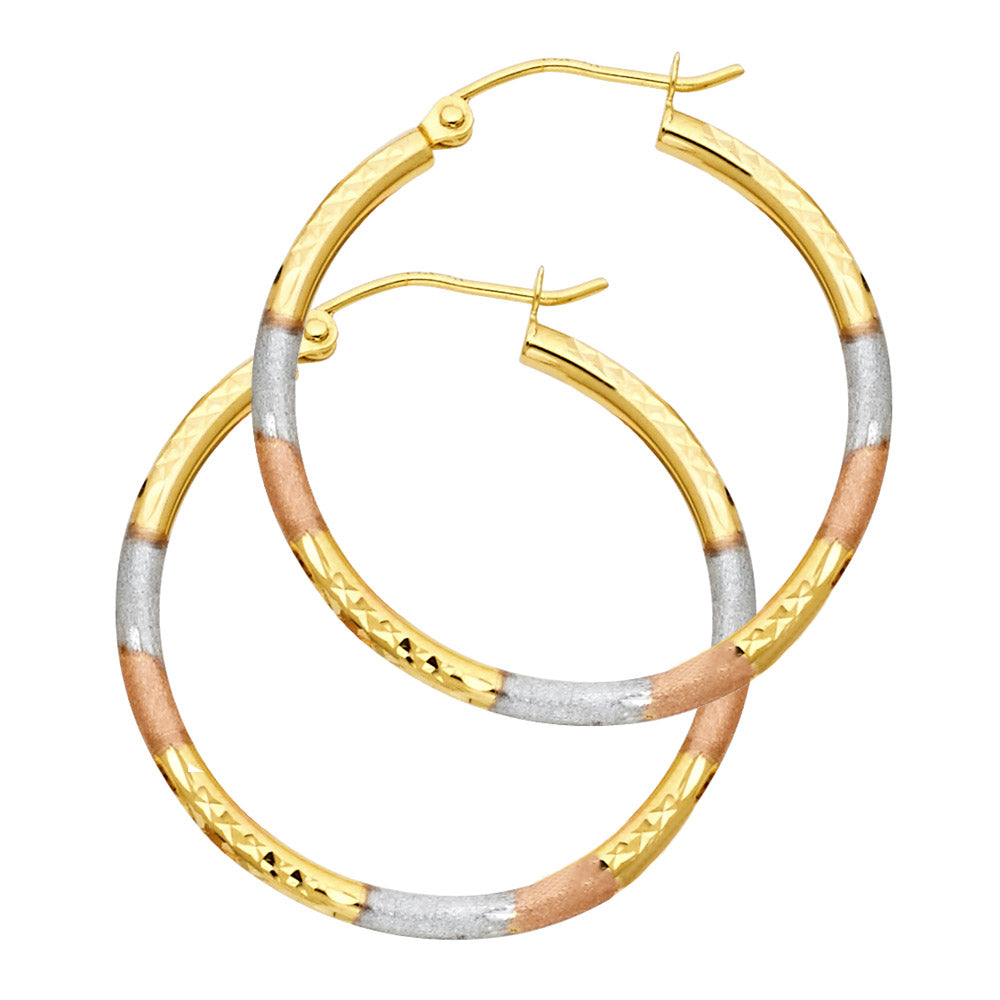 14K Yellow Gold Basic & Fancy Hoop Earring - ER568