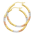 14K Yellow Gold Basic & Fancy Hoop Earring - ER569
