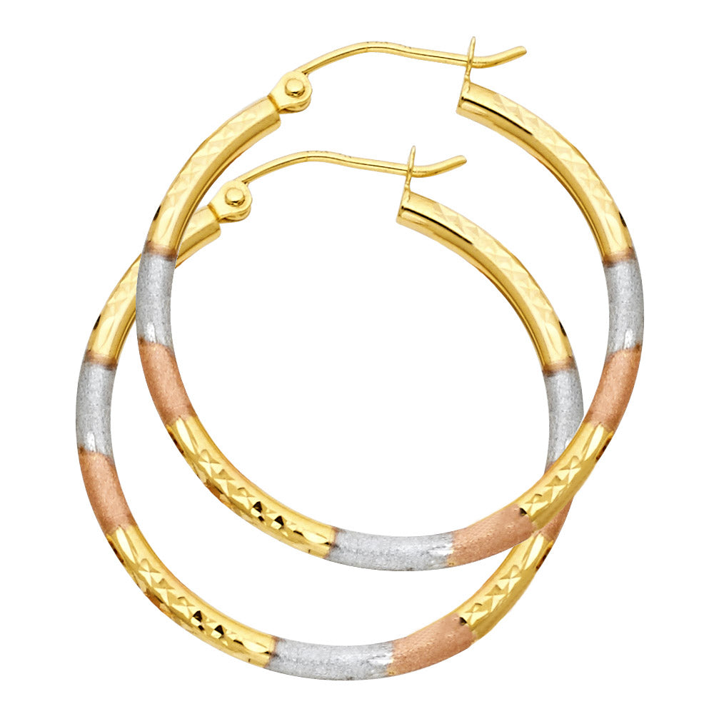 14K Yellow Gold Basic & Fancy Hoop Earring - ER569