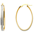 14K Yellow Gold Basic & Fancy Hoop Earring - ER663