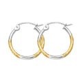 14K Yellow Gold Basic & Fancy Hoop Earring - ER921