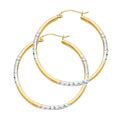 14K Yellow Gold Basic & Fancy Hoop Earring - ER950