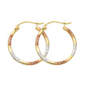 14K Yellow Gold Basic & Fancy Hoop Earring - ER958
