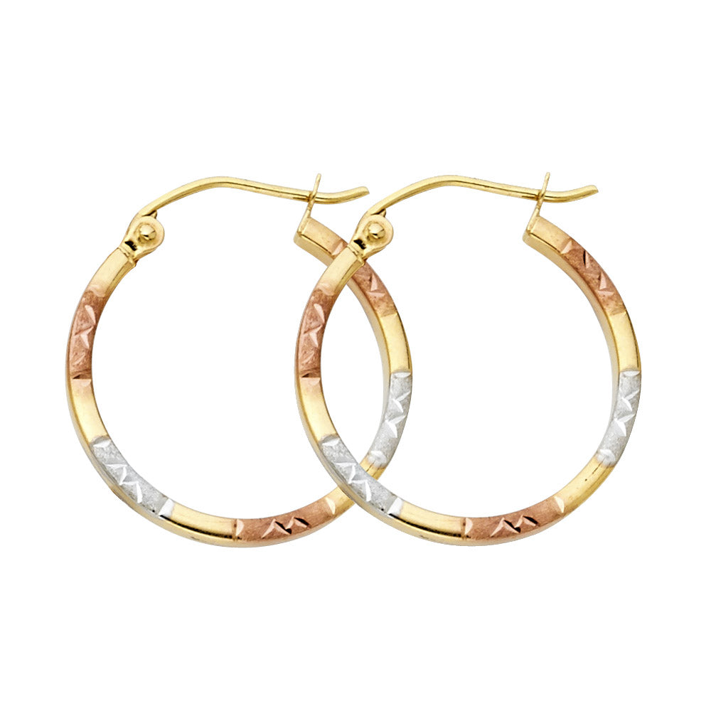 14K Yellow Gold Basic & Fancy Hoop Earring - ER958