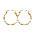 14K Yellow Gold Basic & Fancy Hoop Earring - ER959