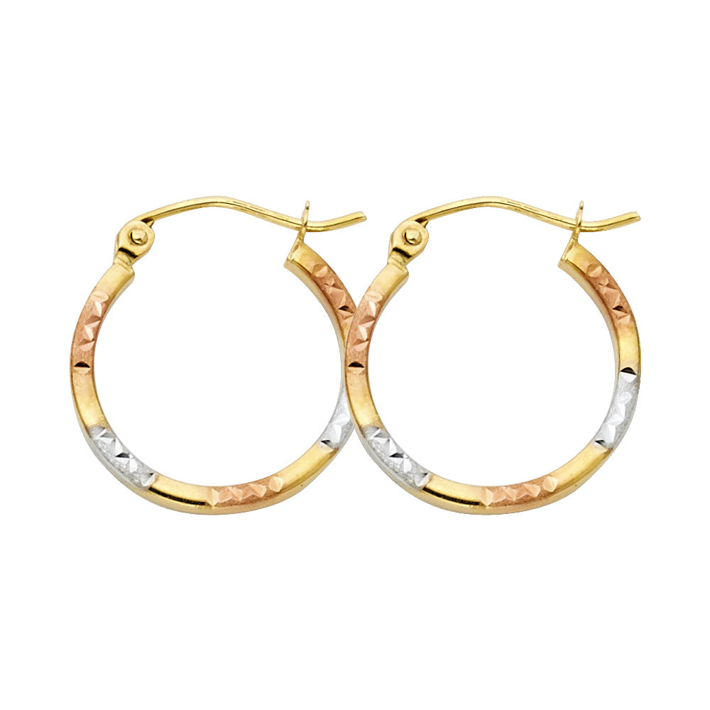 14K Yellow Gold Basic & Fancy Hoop Earring - ER959