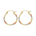 14K Yellow Gold Basic & Fancy Hoop Earring - ER969