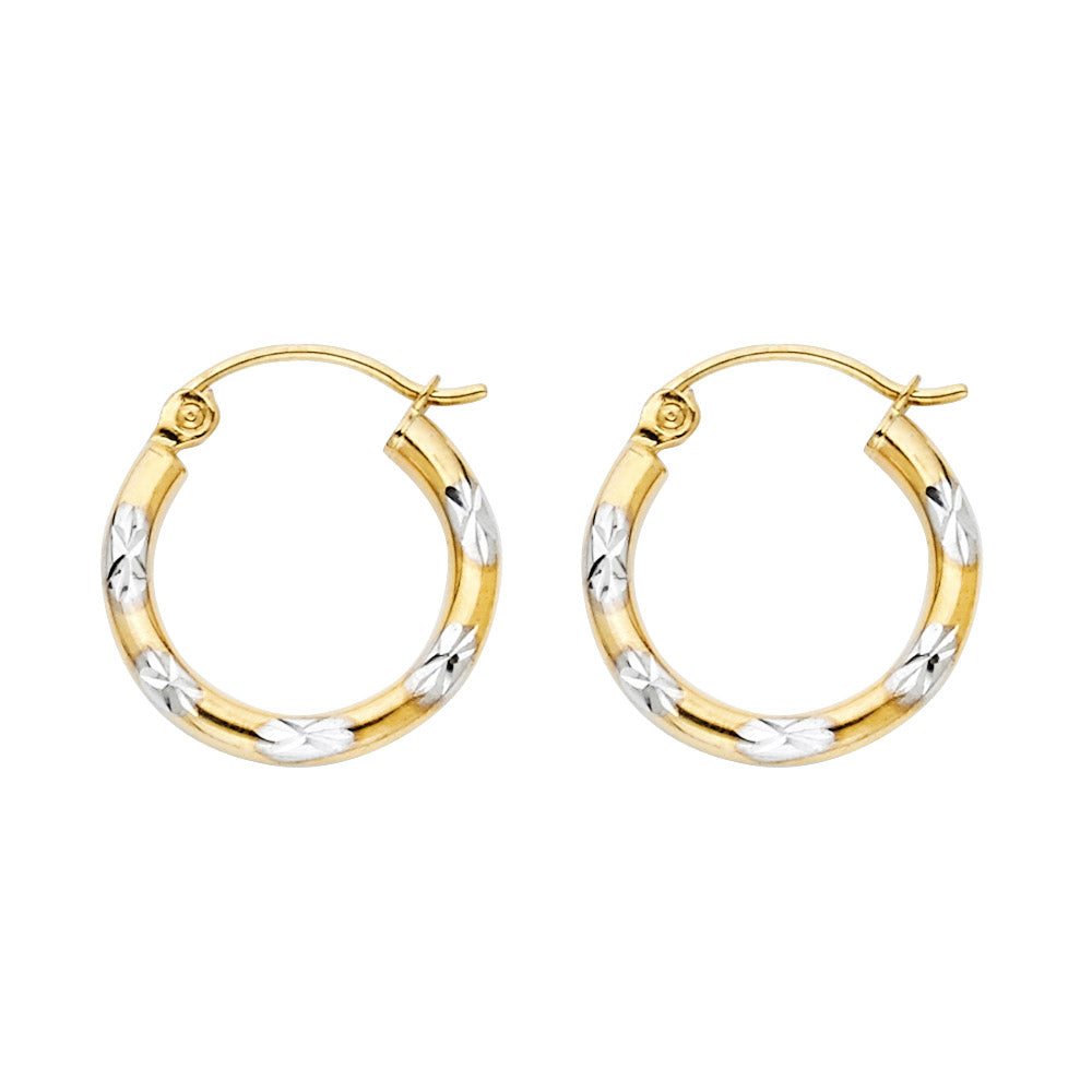 14K Yellow Gold Basic & Fancy Hoop Earring - ER970