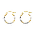 14K Yellow Gold Basic & Fancy Hoop Earring - ER971