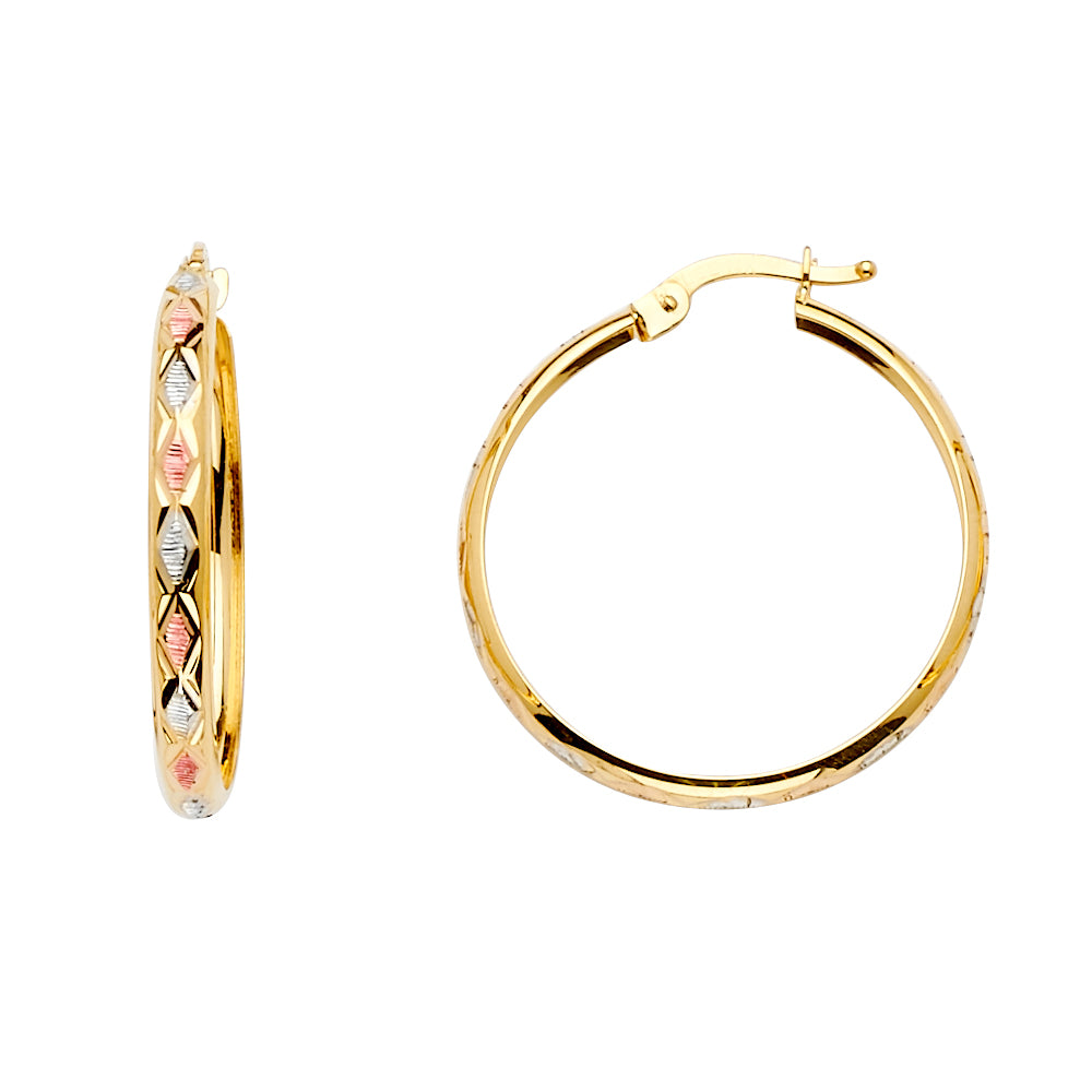14K Tri Color Ball, 3 Color & Fancy Earring - ER1516
