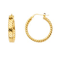 14K Yellow Gold Basic & Fancy Hoop Earring - ER1697