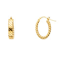 14K Yellow Gold Basic & Fancy Hoop Earring - ER1700