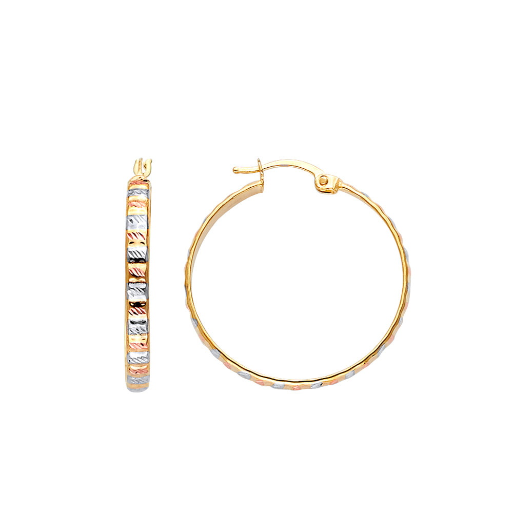 14K Tri Color Ball, 3 Color & Fancy Earring - ER1725