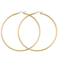 14K Yellow Gold Basic & Fancy Hoop Earring - ER1732