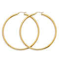 14K Yellow Gold Basic & Fancy Hoop Earring - ER1736