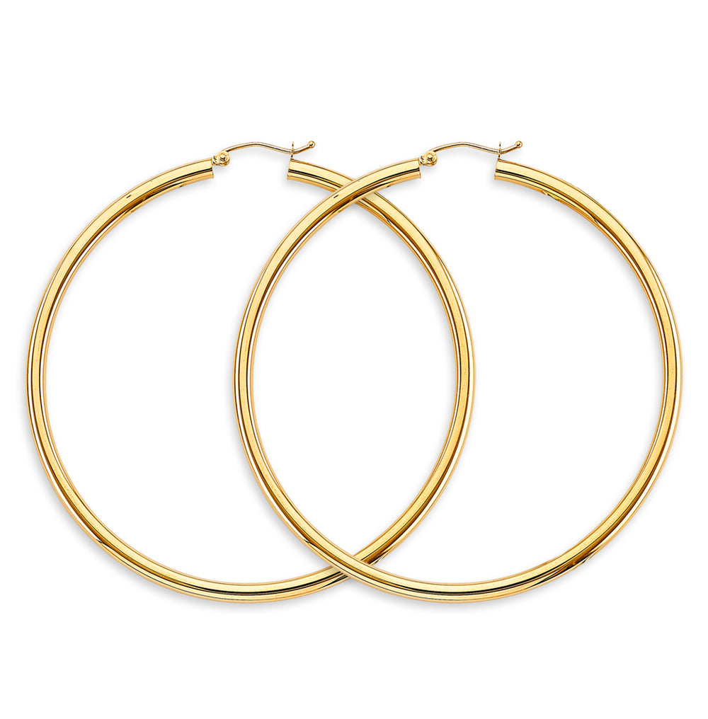14K Yellow Gold Basic & Fancy Hoop Earring - ER1736