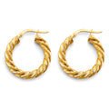 14K Yellow Gold Basic & Fancy Hoop Earring - ER1747