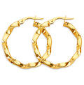 14K Yellow Gold Basic & Fancy Hoop Earring - ER1761