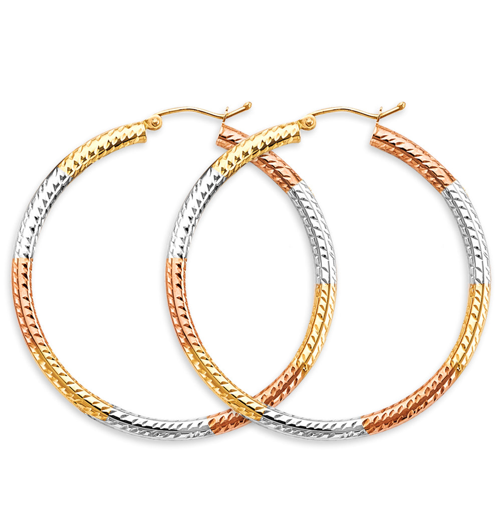 14K Yellow Gold Basic & Fancy Hoop Earring - ER1773