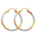 14K Yellow Gold Basic & Fancy Hoop Earring - ER1774
