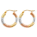 14K Yellow Gold Basic & Fancy Hoop Earring - ER1776