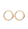 14K Yellow Gold Basic & Fancy Hoop Earring - ER1777