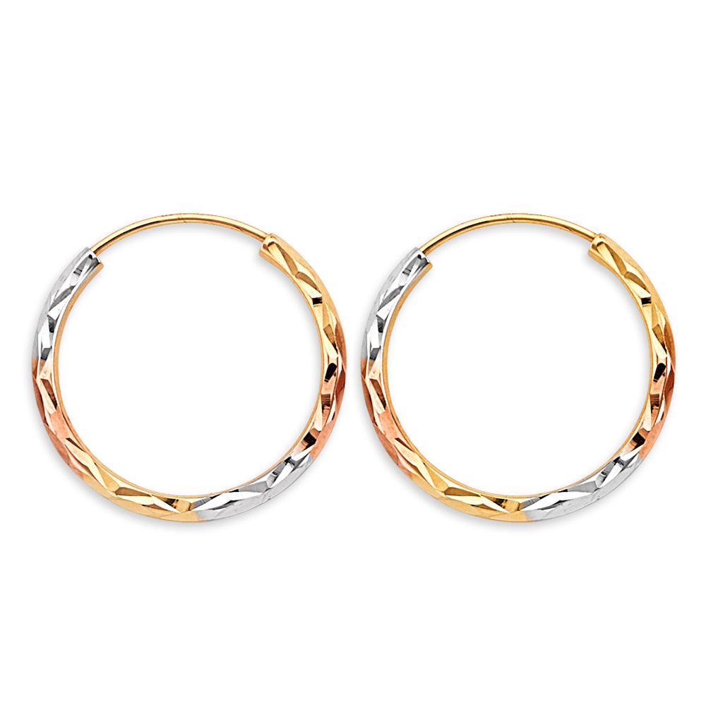14K Yellow Gold Basic & Fancy Hoop Earring - ER1778
