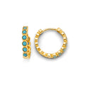 14K Yellow Gold Huggies Earring - ER1857