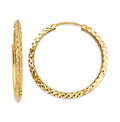 14K Yellow Gold Basic & Fancy Hoop Earring - ER1902