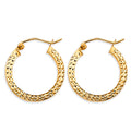 14K Yellow Gold Basic & Fancy Hoop Earring - ER1906