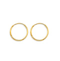 14K Yellow Gold Basic & Fancy Hoop Earring - ER1911