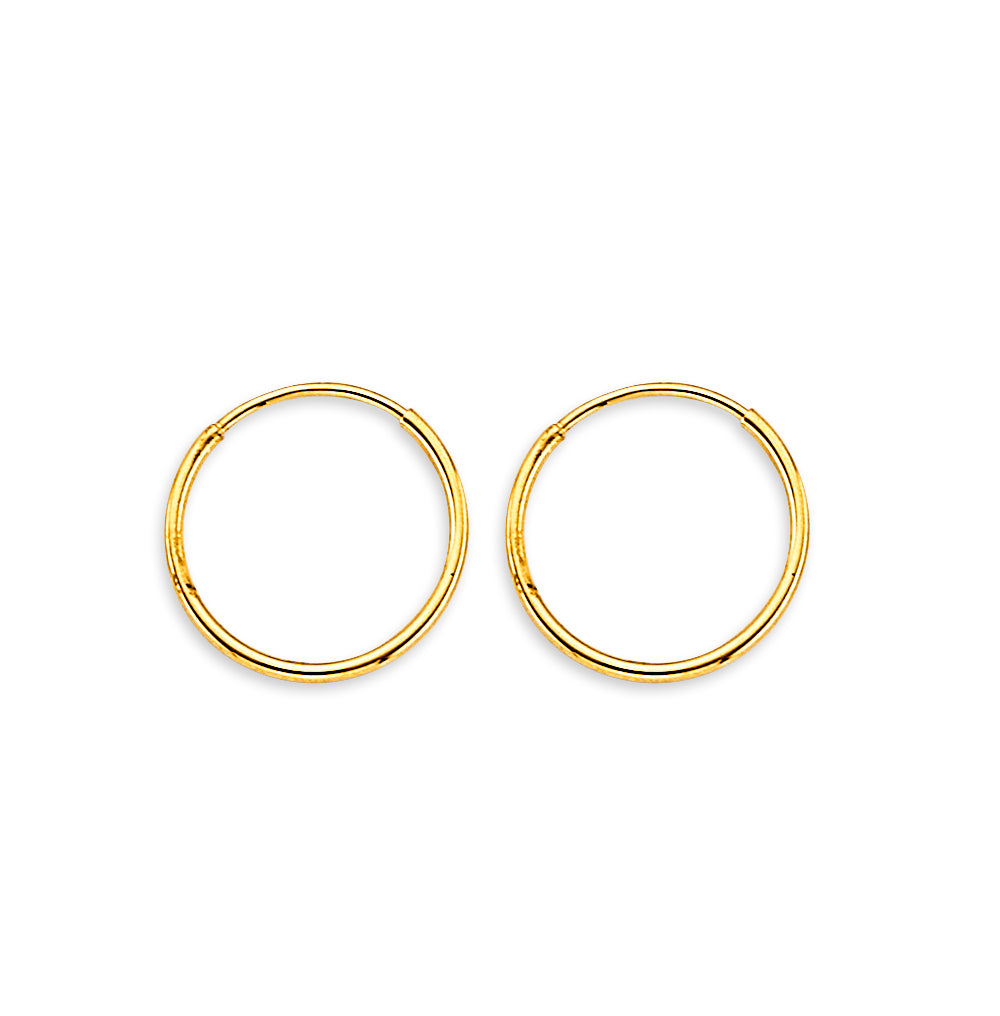 14K Yellow Gold Basic & Fancy Hoop Earring - ER1911