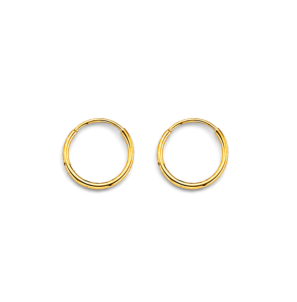 14K Yellow Gold Basic & Fancy Hoop Earring - ER1912