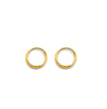 14K Yellow Gold Basic & Fancy Hoop Earring - ER1913