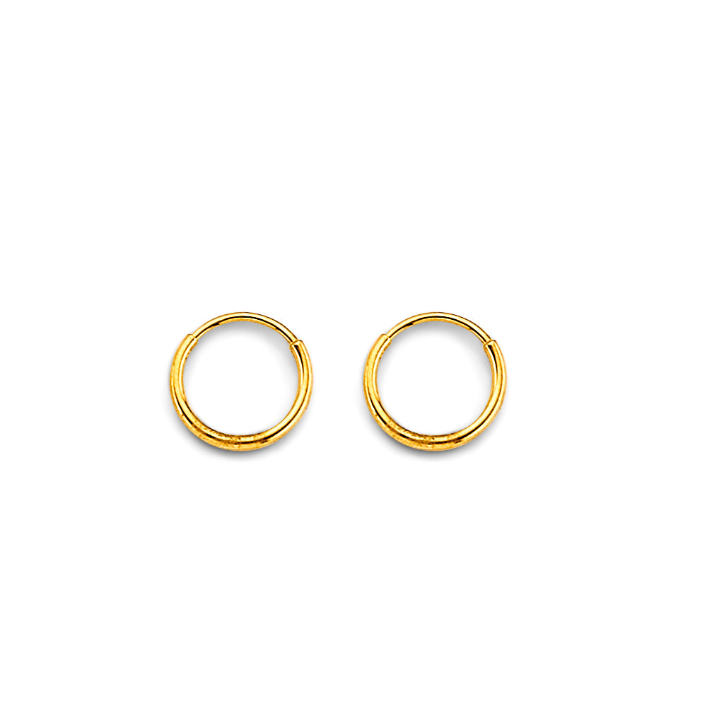 14K Yellow Gold Basic & Fancy Hoop Earring - ER1913
