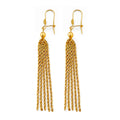 14K Yellow Gold Hanging Earring - ER1994