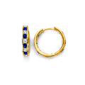 14K Yellow Gold Hoop Earring - ER2016